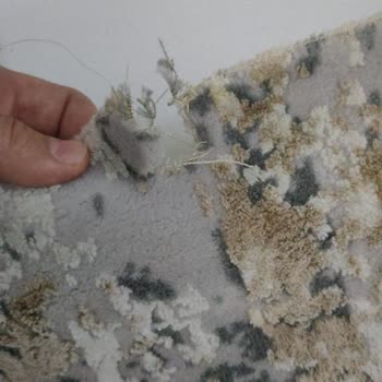 As-Pak Halı Yıkama (Bursa)'da Halımın Yırtılması