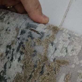 As-Pak Halı Yıkama (Bursa)'da Halımın Yırtılması