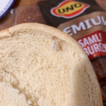 UNO Ekmek Belirsiz Cisim Ve Bayat Olması