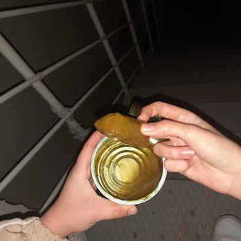 Tat Gıda Yaprak Sarma Azizliği