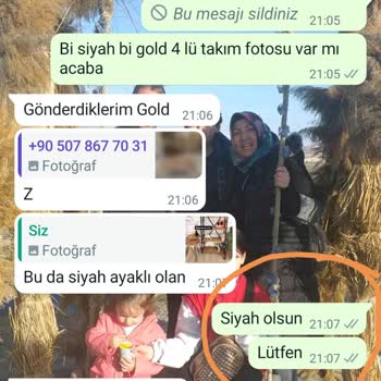 Ayaz Demonte Yanlış Ürün Gönderimi Ve İlgisiz Satıcı Sorunu