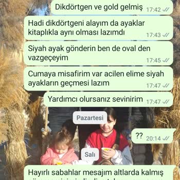 Ayaz Demonte Yanlış Ürün Gönderimi Ve İlgisiz Satıcı Sorunu