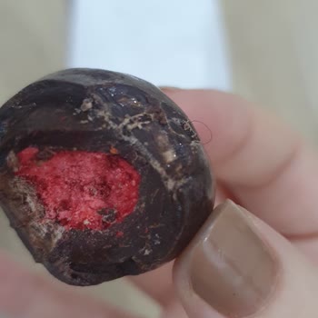 Patiswiss Çilek Kaplı Bitter Çikolata İçerisinden Kıl Çıktı