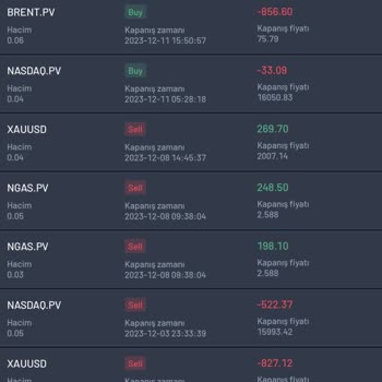 Provider Capital Markets'in Yüksek Kazanç Vaadi