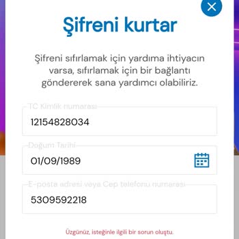 Milli Piyango Sitesi Üye Giriş Problemi.