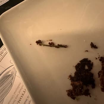 Şekerci Cafer Erol Kestaneli Pastadan Çilek Sapı Çıkması Doğal Karşılandı!