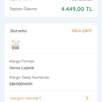 ebebek İnternetten Alınan Ürünün Kargo Sorunu Ve İade Süreci Şikayeti