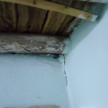 Çevre, Şehircilik Ve İklim Değişikliği Bakanlığı Deprem Hasar Tespiti