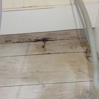 Beko Sıfır Çamaşır Makinesinin Bile Arkasında Durmuyor