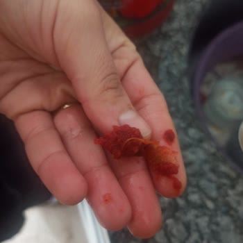 Öz Salça Markalı Salçanın İçinden Değişik Şekilde Artıklar Çıkıyor.