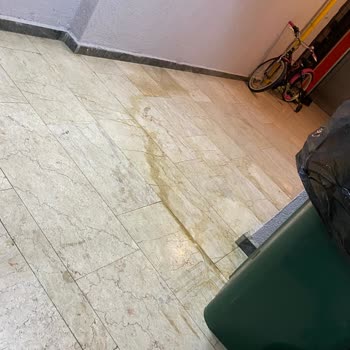 By Paspas Temizlik Hizmetleri Apartman Yönetimi Ve Yönetememek!