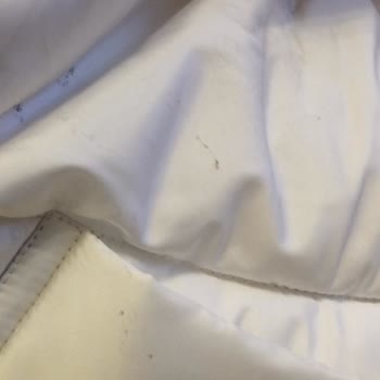 Amazon Sent Only Coat with Mud Stains All Over It