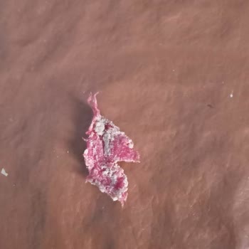 A101 Helvanın İçinde Poşet Çıktı