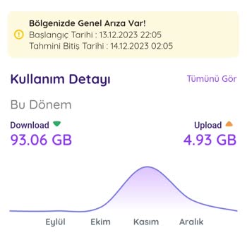 Netspeed Günlerce İnternet Kesiliyor Ve Müşteri Hizmetleri Desteği Yok