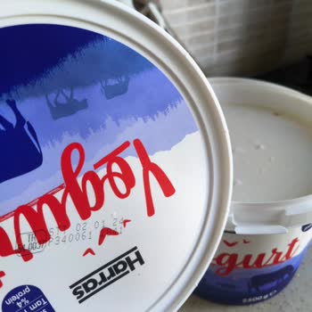 Harras Yoğurt Küf Benzeri