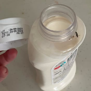 Tat Gıda Aldığım Tat Marka Mayonezin İçerisinden Böcek Çıktı