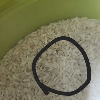 Yayla Bakliyat Yayla Pirinç İçerisinden Çıkan Böcekler