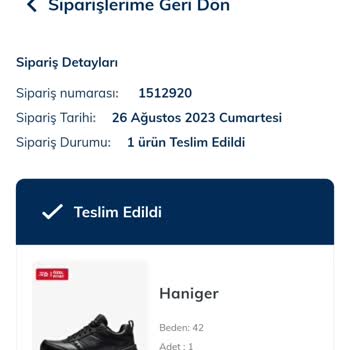 Skechers I Ayakkabı Problemi