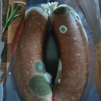 Pınar Et ve Süt Kasap Sucukta Küf Sorunu