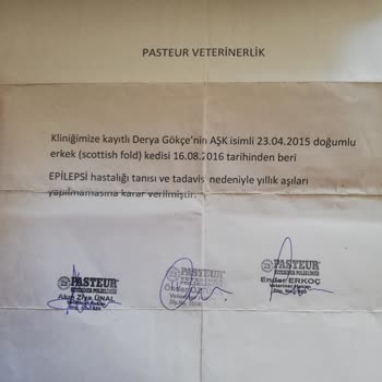 Pegasus Ve Büyük Çelişki