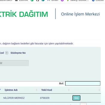 UEDAŞ Fatura Ödeme Problemi