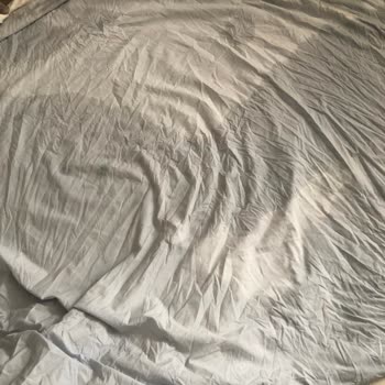 Bosch Çamaşır Makinesi Ve Fiyasko