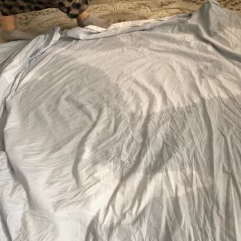 Bosch Çamaşır Makinesi Ve Fiyasko