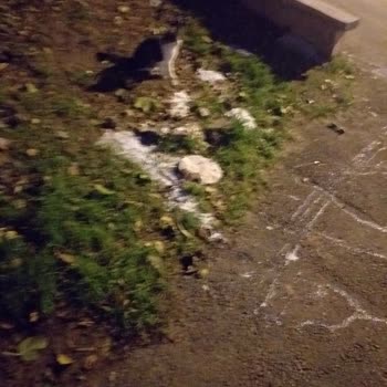 Keçiören Belediyesi Sokak Hayvanlarının Beslenme Yeri