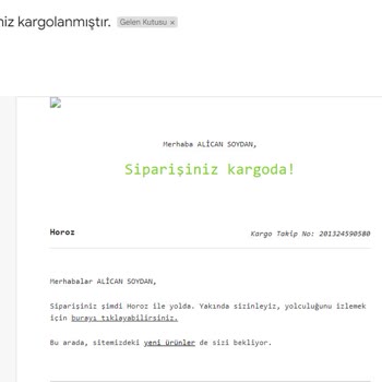 Evidea Teslimat Ve Para İadesi Sorunu