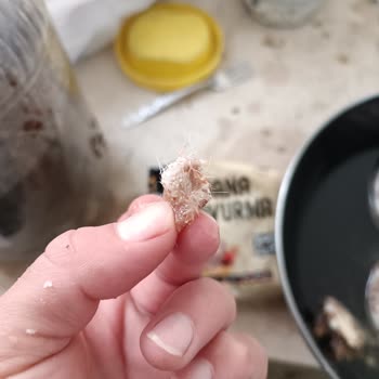 A101 Kavurmada Deri Çıktı