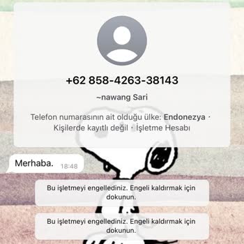 WhatsApp Tanımadığım Numaradan Mesaj