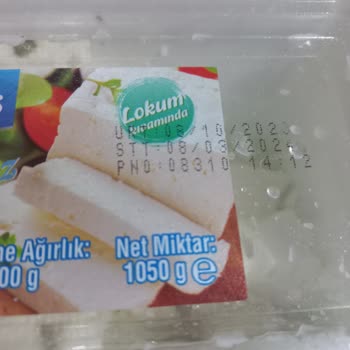 Peynes Peynir Çok Pişmanım Seni Aldığıma
