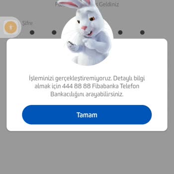 Fibabanka Hesaplarıma Hiçbir Şekilde Ulaşamıyorum
