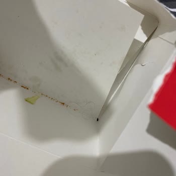 KFC Siparişimden Kıl Çıktı