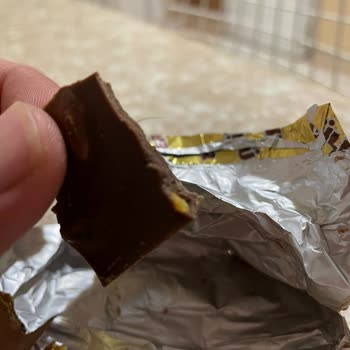 Ülker Marka Çikolatanın İçerisinden Kıl Çıktı