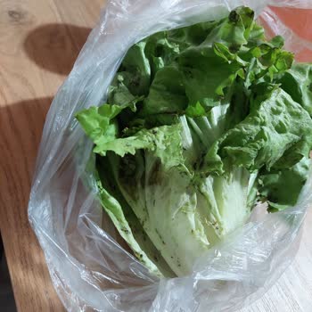 Migros Hemen Çürük Sebze Göndermesi
