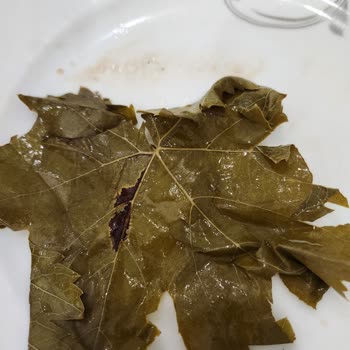 Egenin Tadı (egenin_tadi_) İnternetten Satın Alınan Ürünlerin Kusurlu Teslimatı Ve Müşteri Hizmetleri Sorunları