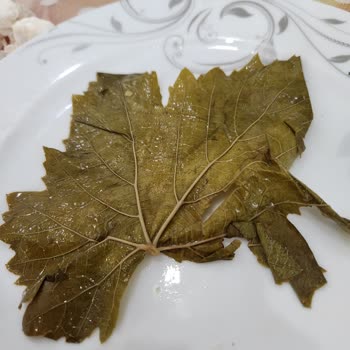Egenin Tadı (egenin_tadi_) İnternetten Satın Alınan Ürünlerin Kusurlu Teslimatı Ve Müşteri Hizmetleri Sorunları