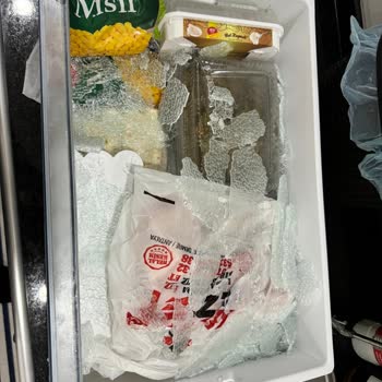 Bosch Buzdolabının Buzluk Camı Kırıldı