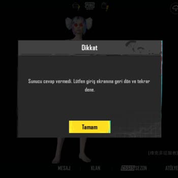 PUBG (Pubgmobile.com) Ping Ve MS Sorunu