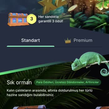 7Slots Canlı Destek Nereden Bağlanır