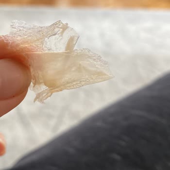 Pınar Et ve Süt Sütün Kaymağı Resmen Plastik