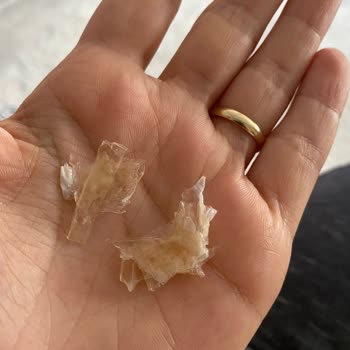 Pınar Et ve Süt Sütün Kaymağı Resmen Plastik