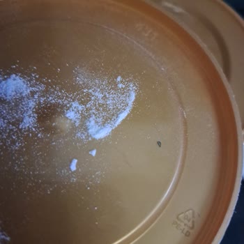 Nutricia Neocate Böcek Çıktı