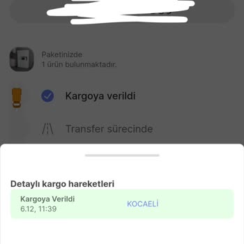 Horoz Lojistik'in İlerleme Sürecinin Yavaşlığı