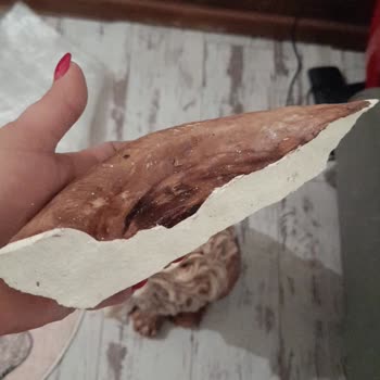 Sendeo Kargo Kırık Ürün Teslimatı