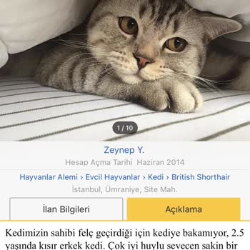 Sahibinden İlanlarım Askıya Alınıyor