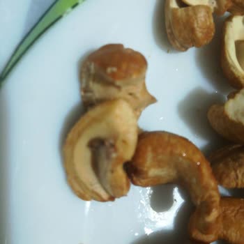 Fropie Kurtlanmış Bozulmuş Yiyecek