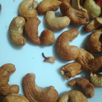 Fropie Kurtlanmış Bozulmuş Yiyecek