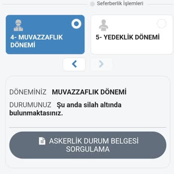 E-Devlet (Turkiye.gov.tr) Silah Altındasınız Sorunu